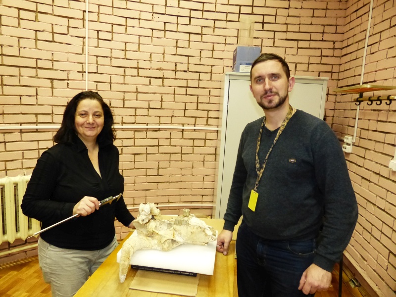 Work in the Paleontological Institute RAS